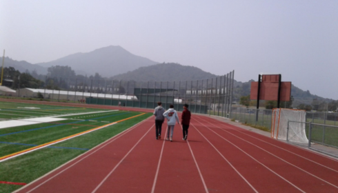 walking track flooring