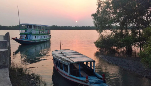 Sundarban Travels: Explore the Untamed Beauty of the Mangrove Forests